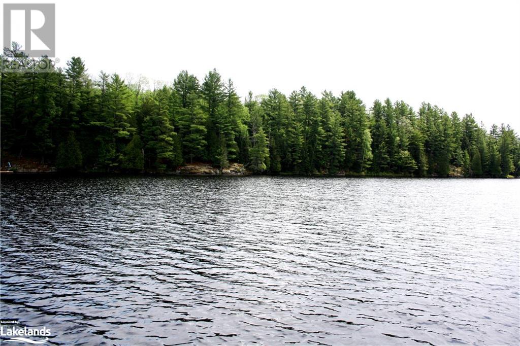 0 Rugged Lane, Minden, Ontario  K0M 2K0 - Photo 16 - 40592825