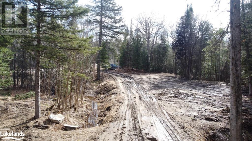 1021 Barry Line Road, Haliburton, Ontario  K0M 1S0 - Photo 12 - 40594178