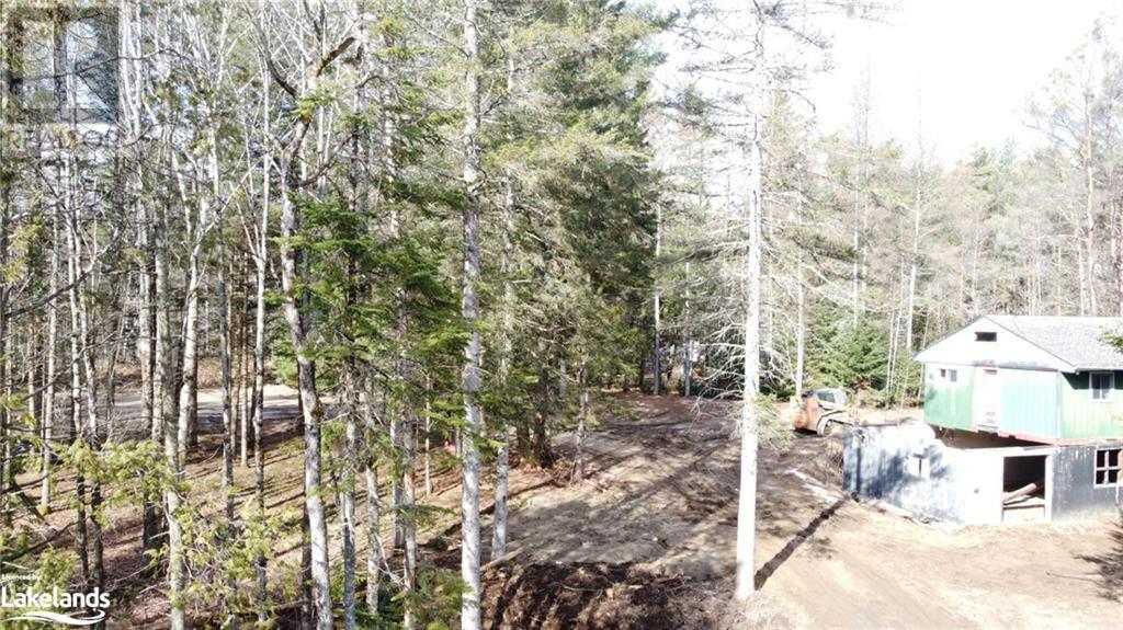 1021 Barry Line Road, Haliburton, Ontario  K0M 1S0 - Photo 10 - 40594178