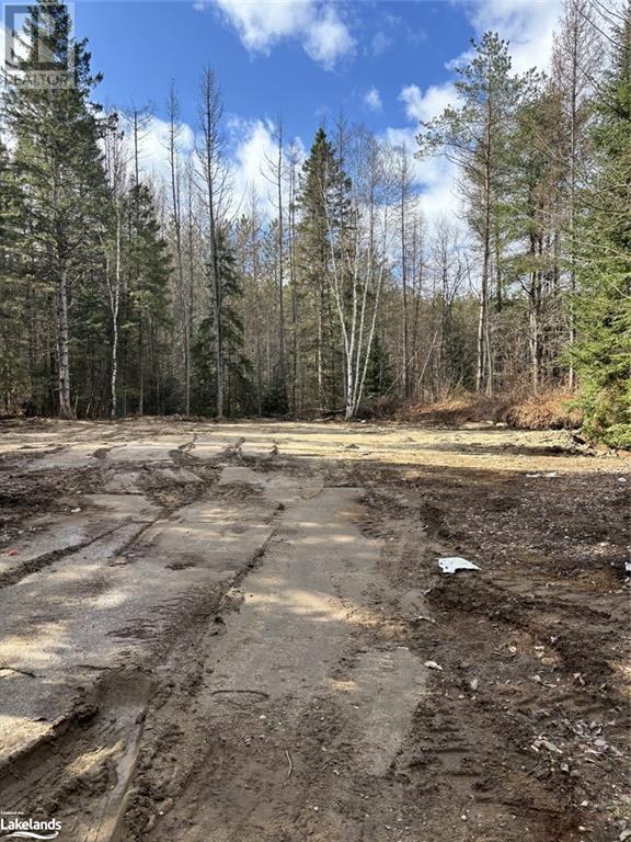 1021 Barry Line Road, Haliburton, Ontario  K0M 1S0 - Photo 8 - 40594178