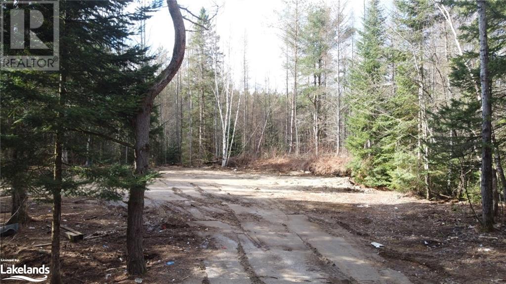 1021 Barry Line Road, Haliburton, Ontario  K0M 1S0 - Photo 11 - 40594178
