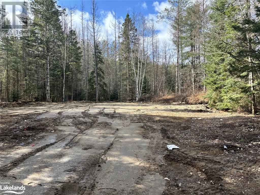 1021 Barry Line Road, Haliburton, Ontario  K0M 1S0 - Photo 6 - 40594178