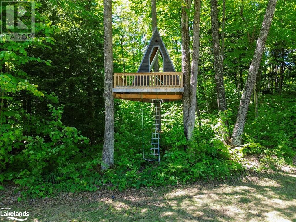 1241 East Bay Road, Torrance, Ontario  P0C 1M0 - Photo 4 - 40595376