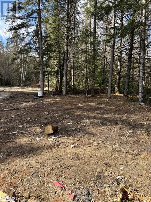 1021 Barry Line Road, Haliburton, Ontario  K0M 1S0 - Photo 6 - 40594184