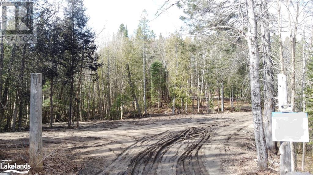 1021 Barry Line Road, Haliburton, Ontario  K0M 1S0 - Photo 5 - 40594184