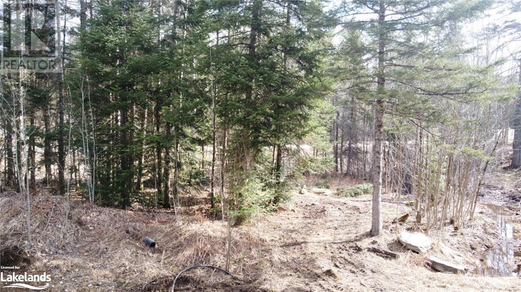 1021 Barry Line Road, Haliburton, Ontario  K0M 1S0 - Photo 10 - 40594184