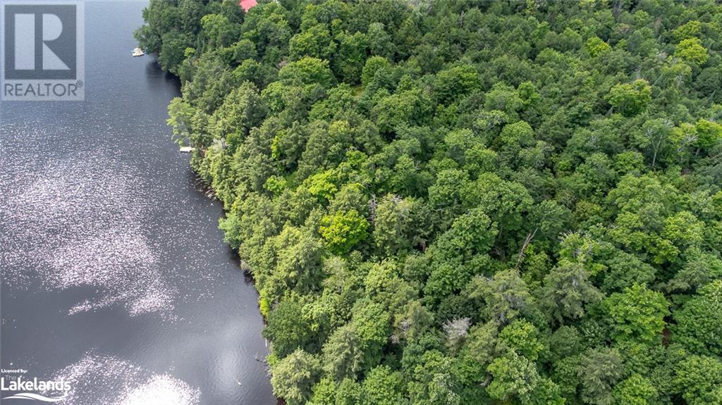 0 Minnow Drive, Haliburton, Ontario  K0M 1S0 - Photo 11 - 40593950