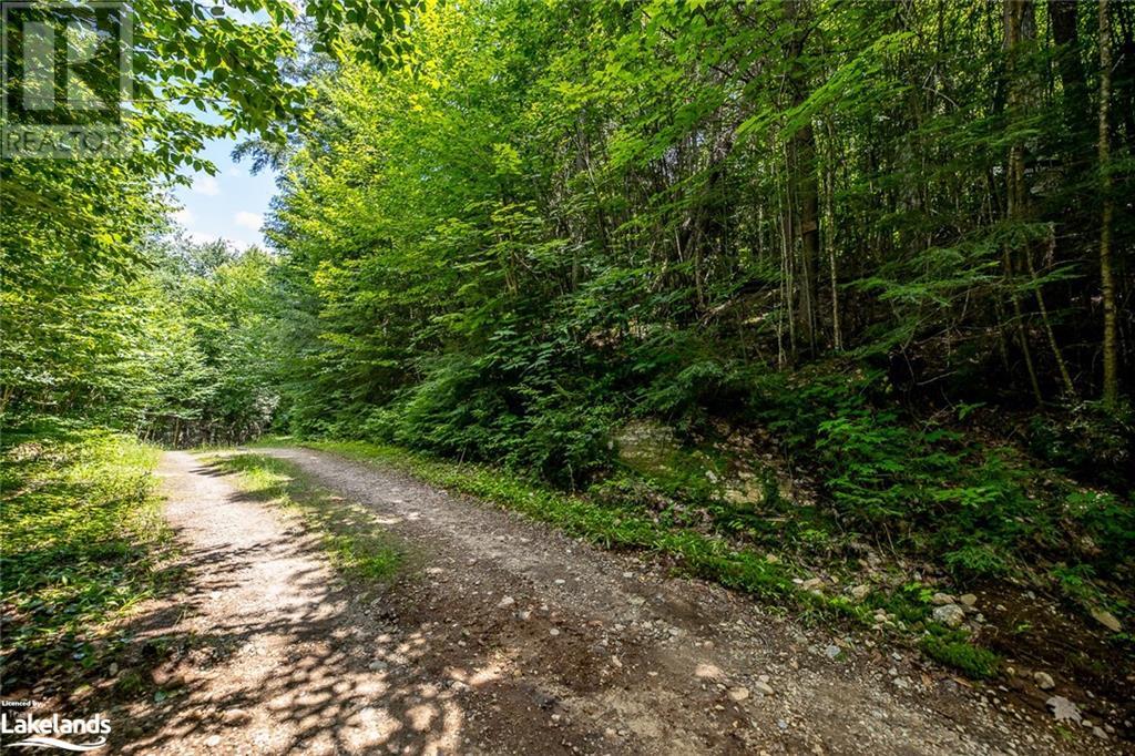 0 Minnow Drive, Haliburton, Ontario  K0M 1S0 - Photo 12 - 40593950
