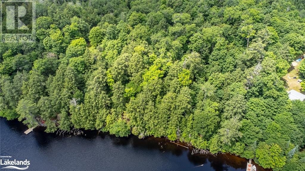 0 Minnow Drive, Haliburton, Ontario  K0M 1S0 - Photo 10 - 40593950