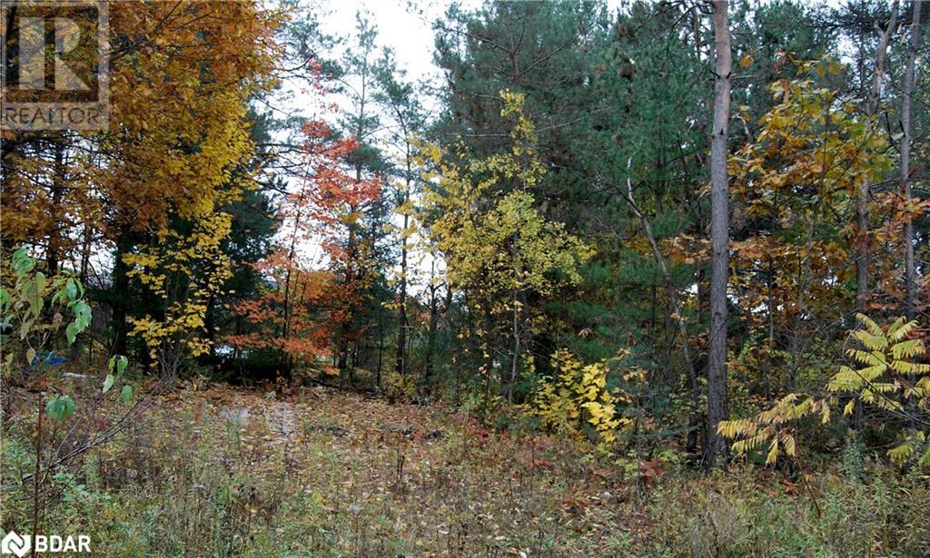 N/a Reynolds Road, Tiny, Ontario  L0L 2T0 - Photo 2 - 40595996