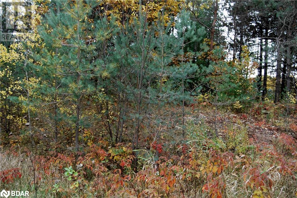 N/a Reynolds Road, Tiny, Ontario  L0L 2T0 - Photo 3 - 40595996