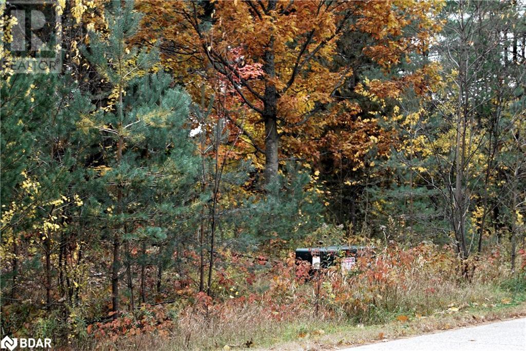 N/a Reynolds Road, Tiny, Ontario  L0L 2T0 - Photo 4 - 40595996