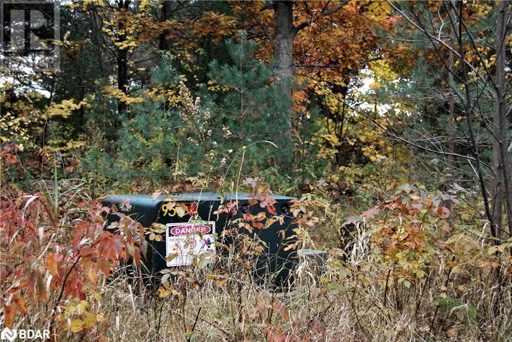 N/a Reynolds Road, Tiny, Ontario  L0L 2T0 - Photo 5 - 40595996