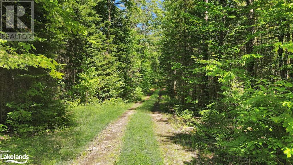 0 Bobcaygeon Road, Minden, Ontario  K0M 2K0 - Photo 2 - 40595587
