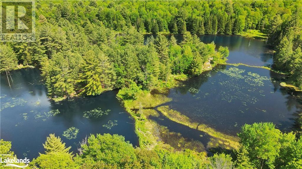 0 Bobcaygeon Road, Minden, Ontario  K0M 2K0 - Photo 12 - 40595587