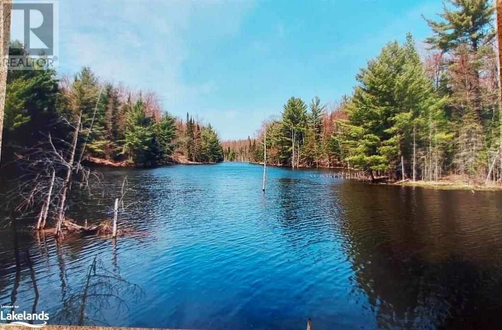 0 Bobcaygeon Road, Minden, Ontario  K0M 2K0 - Photo 4 - 40595587