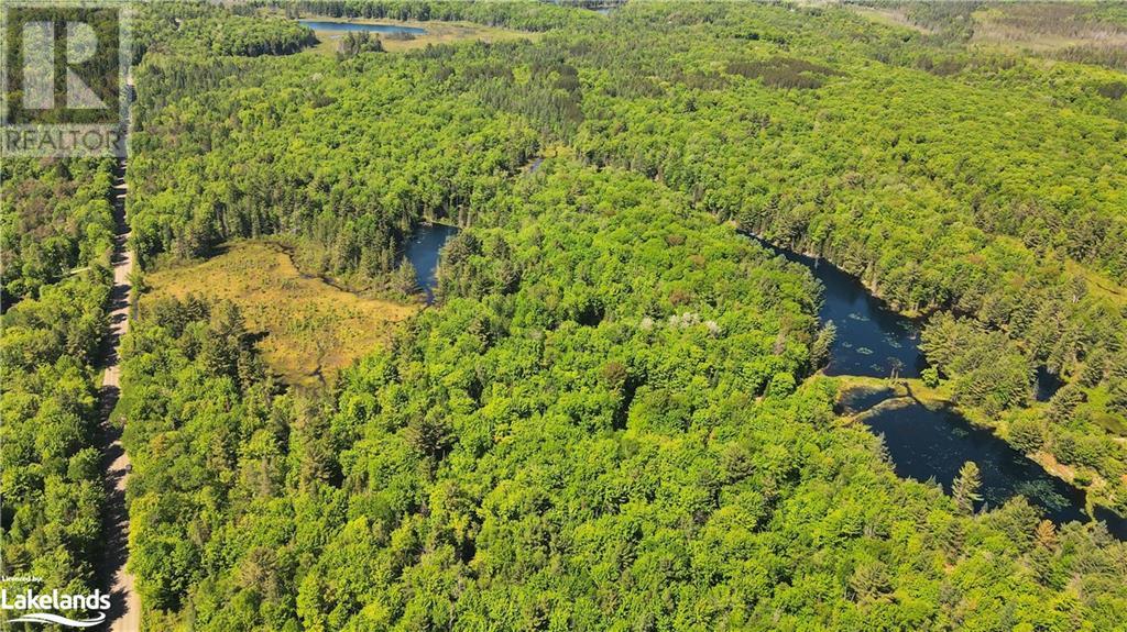 0 Bobcaygeon Road, Minden, Ontario  K0M 2K0 - Photo 7 - 40595587