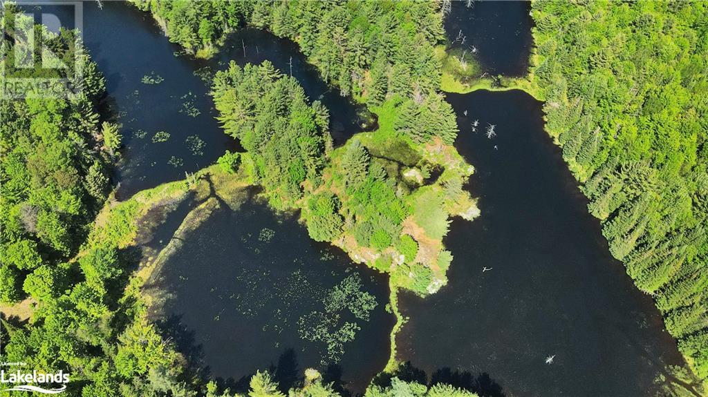 0 BOBCAYGEON Road, minden, Ontario