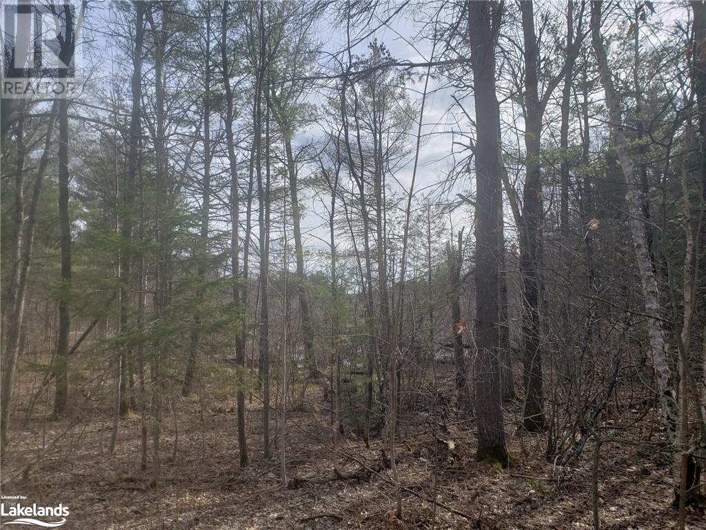 1185 Sam Cook Road, Gravenhurst, Ontario  P1P 1R3 - Photo 11 - 40568317