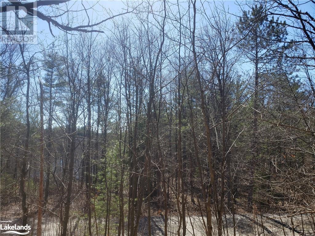1185 Sam Cook Road, Gravenhurst, Ontario  P1P 1R3 - Photo 8 - 40568317