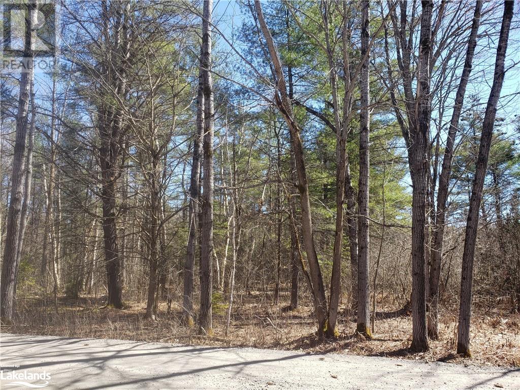 1185 Sam Cook Road, Gravenhurst, Ontario  P1P 1R3 - Photo 6 - 40568317