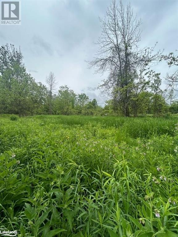 0 Reinbird Street, Coldwater, Ontario  L0K 1E0 - Photo 3 - 40596766