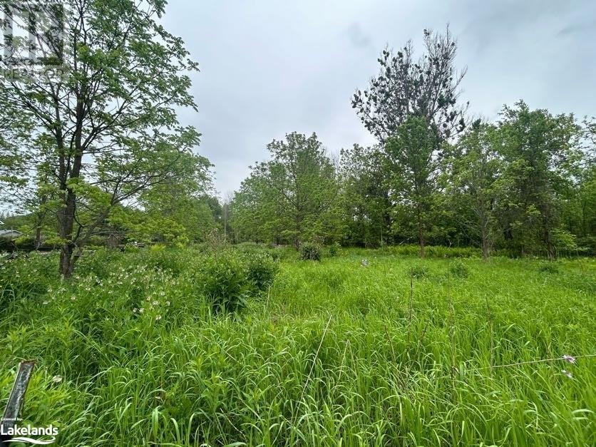 0 Reinbird Street, Coldwater, Ontario  L0K 1E0 - Photo 4 - 40596766
