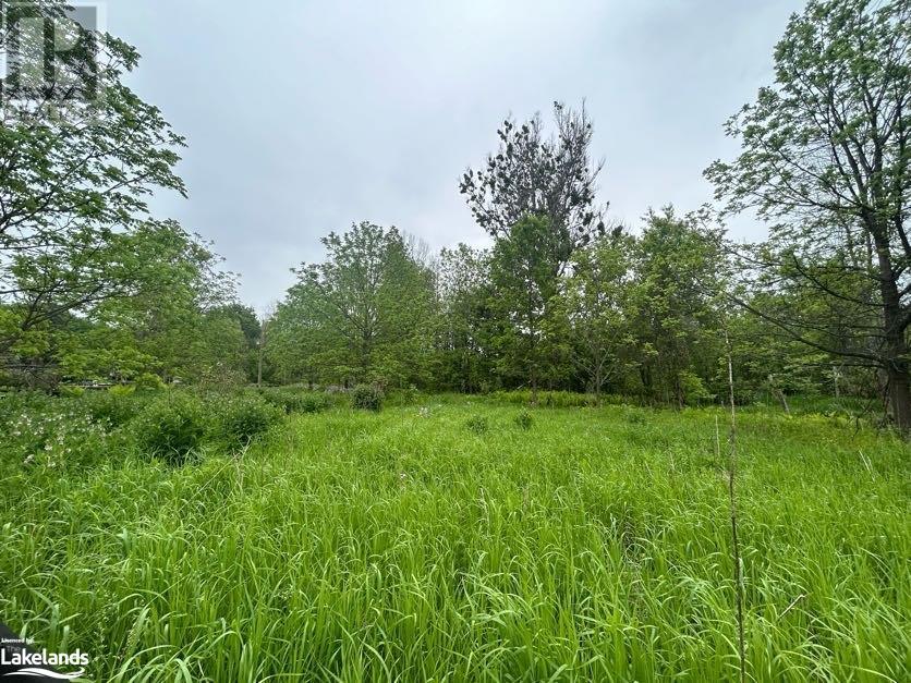 0 Reinbird Street, Coldwater, Ontario  L0K 1E0 - Photo 5 - 40596766