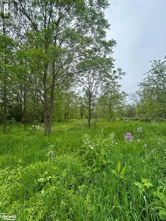0 Reinbird Street, Coldwater, Ontario  L0K 1E0 - Photo 8 - 40596766