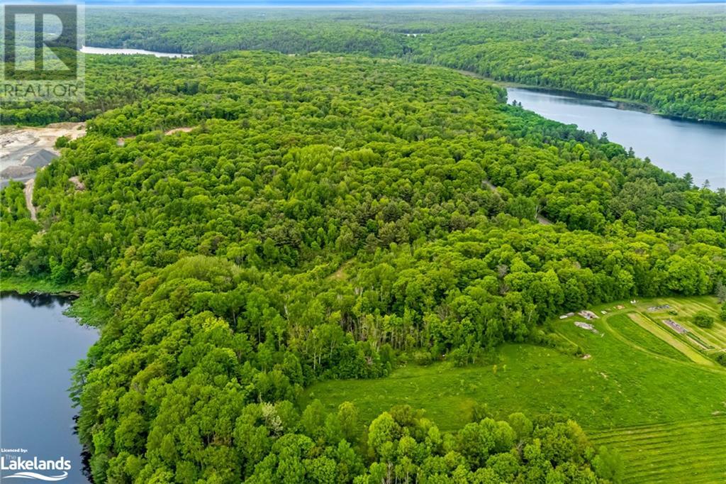 Part Lot 14 Carruthers Road, Seguin, Ontario  P2A 2W9 - Photo 4 - 40596344
