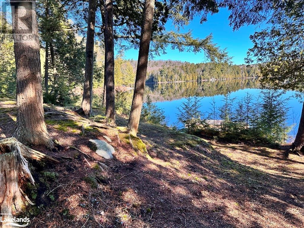 1032 Artisan Lane, Eagle Lake, Ontario  K0M 1M0 - Photo 3 - 40596536
