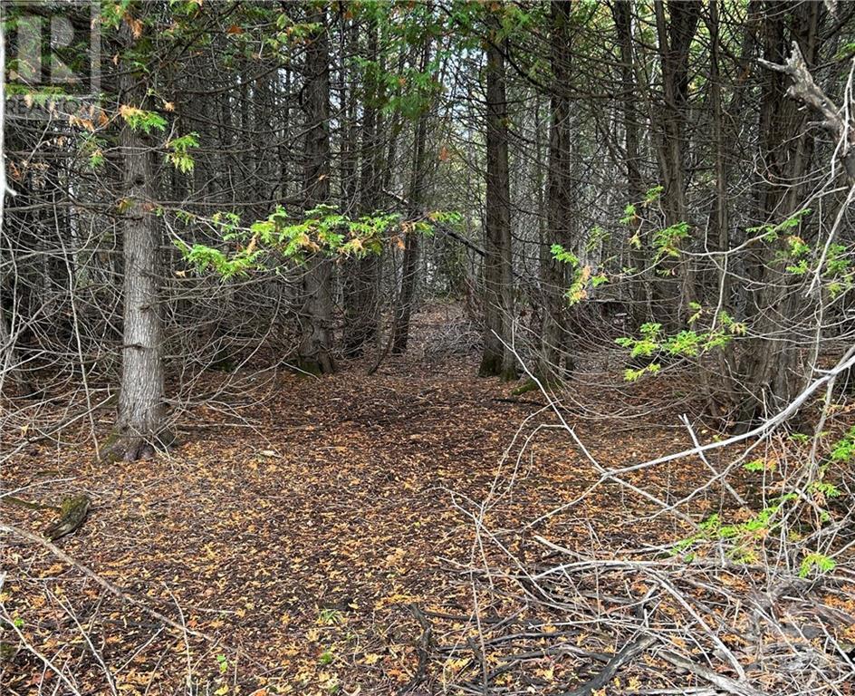 Rocksprings Road, North Augusta, Ontario  K0G 1R0 - Photo 3 - 1394621