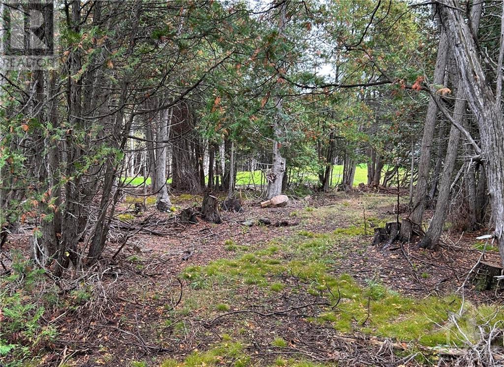 Rocksprings Road, North Augusta, Ontario  K0G 1R0 - Photo 4 - 1394621