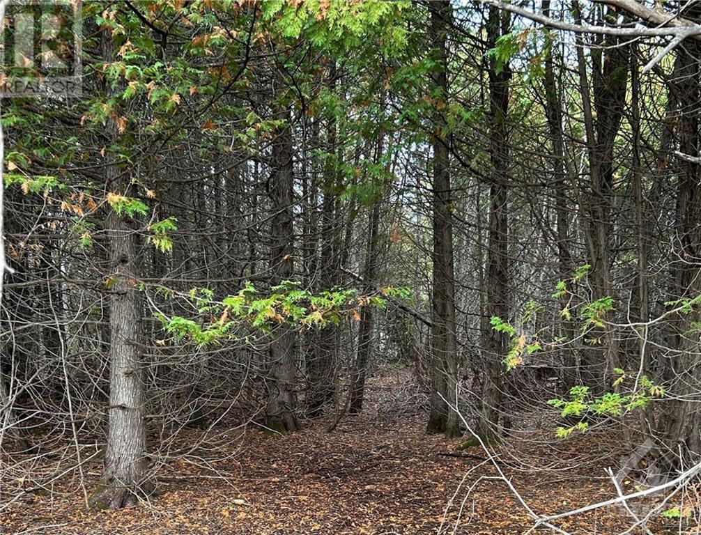 Rocksprings Road, North Augusta, Ontario  K0G 1R0 - Photo 5 - 1394621