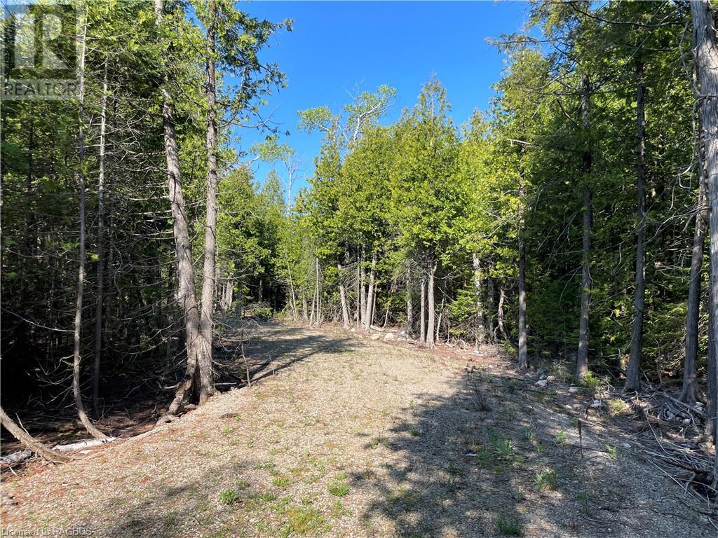 Lot 13 East Road, Northern Bruce Peninsula, Ontario  N0H 1W0 - Photo 10 - 40596786