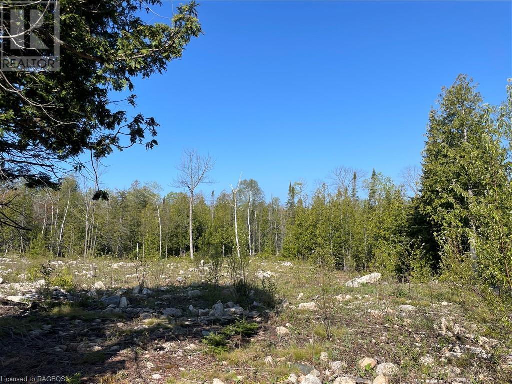 Lot 13 East Road, Northern Bruce Peninsula, Ontario  N0H 1W0 - Photo 12 - 40596786