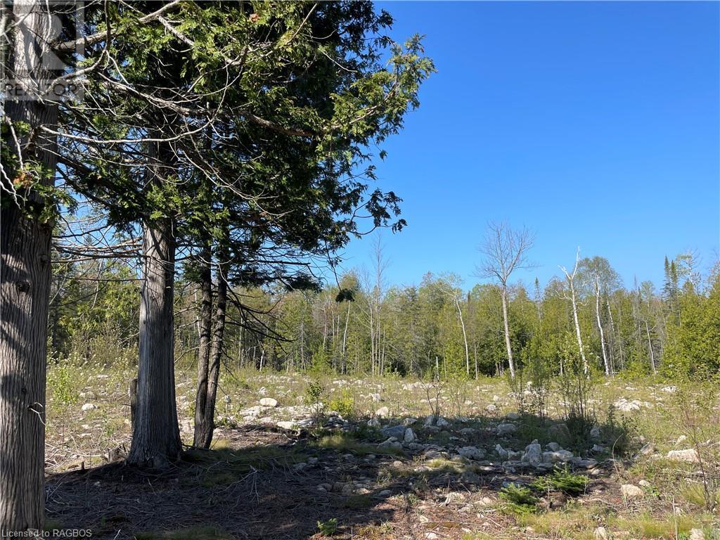 Lot 13 East Road, Northern Bruce Peninsula, Ontario  N0H 1W0 - Photo 13 - 40596786