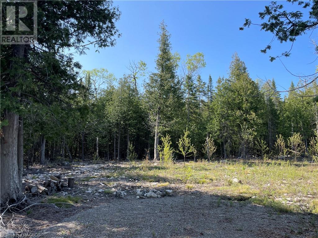 Lot 13 East Road, Northern Bruce Peninsula, Ontario  N0H 1W0 - Photo 14 - 40596786
