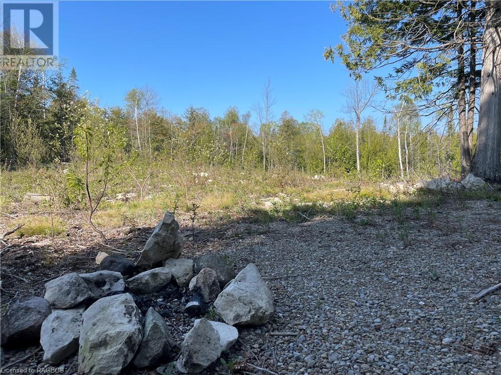 Lot 13 East Road, Northern Bruce Peninsula, Ontario  N0H 1W0 - Photo 15 - 40596786