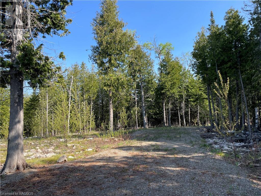 Lot 13 East Road, Northern Bruce Peninsula, Ontario  N0H 1W0 - Photo 16 - 40596786
