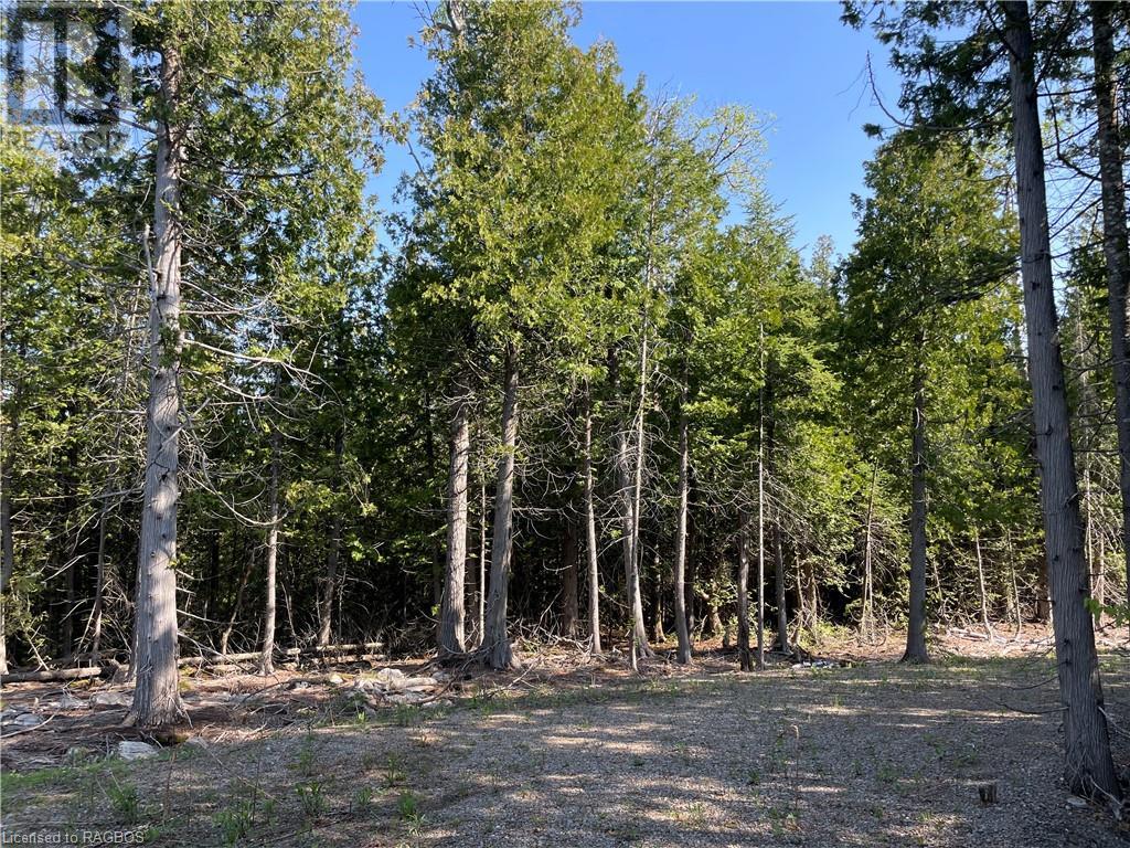 Lot 13 East Road, Northern Bruce Peninsula, Ontario  N0H 1W0 - Photo 17 - 40596786