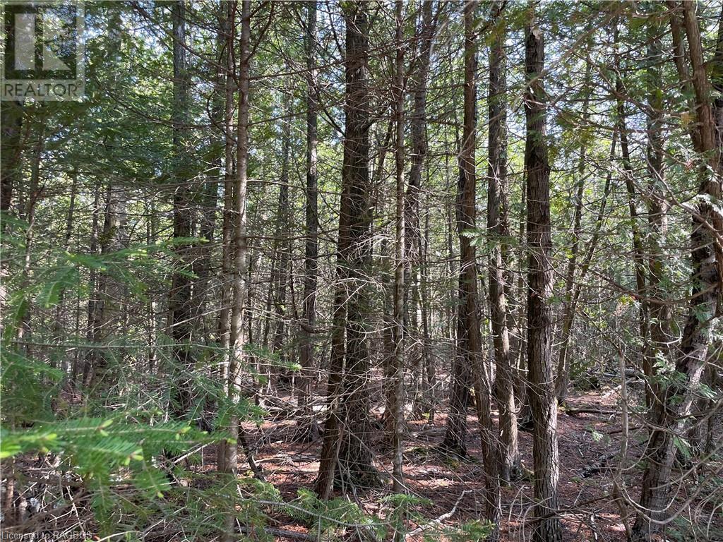 Lot 13 East Road, Northern Bruce Peninsula, Ontario  N0H 1W0 - Photo 18 - 40596786