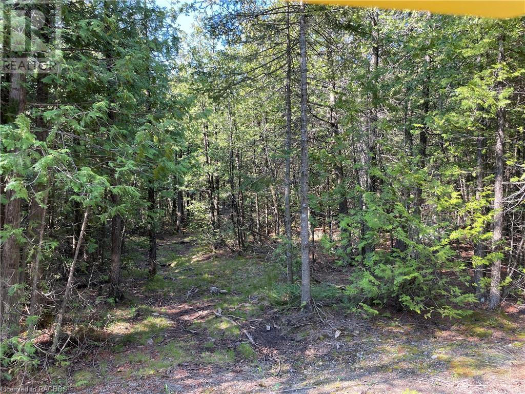 Lot 13 East Road, Northern Bruce Peninsula, Ontario  N0H 1W0 - Photo 19 - 40596786