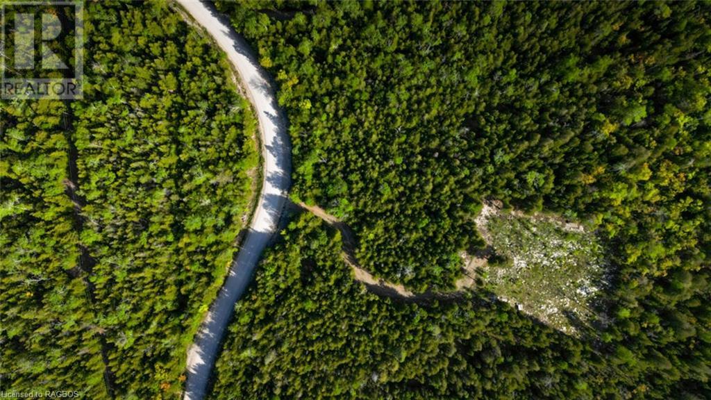 Lot 13 East Road, Northern Bruce Peninsula, Ontario  N0H 1W0 - Photo 21 - 40596786