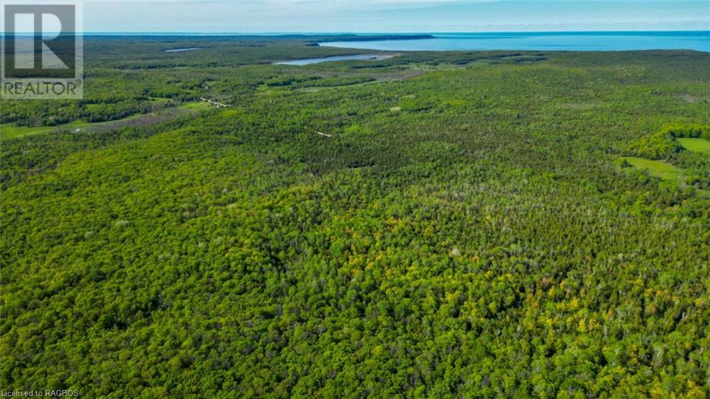 Lot 13 East Road, Northern Bruce Peninsula, Ontario  N0H 1W0 - Photo 24 - 40596786