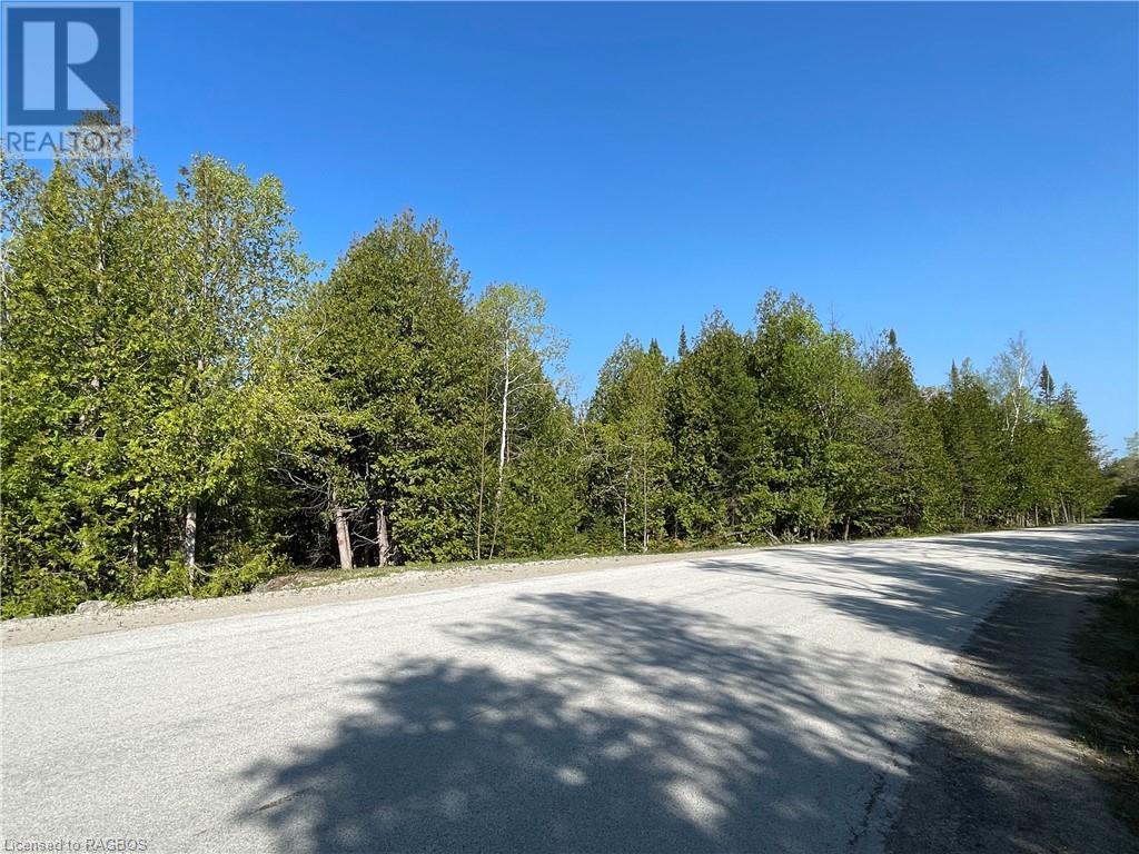 Lot 13 East Road, Northern Bruce Peninsula, Ontario  N0H 1W0 - Photo 4 - 40596786