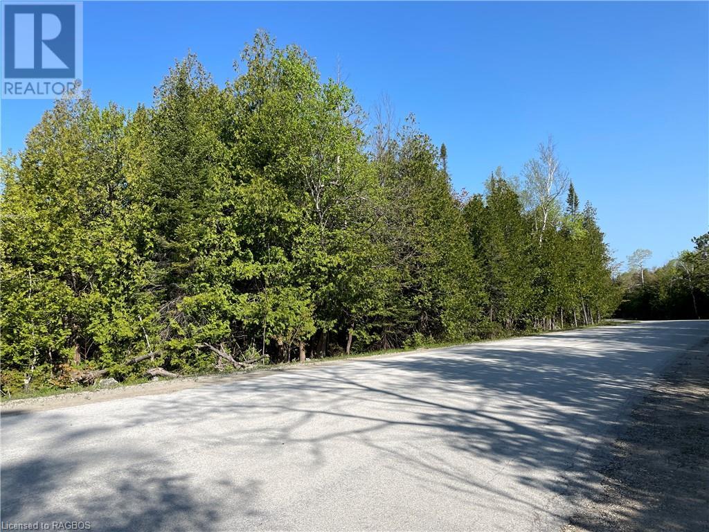 Lot 13 East Road, Northern Bruce Peninsula, Ontario  N0H 1W0 - Photo 5 - 40596786