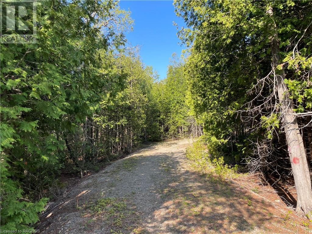 Lot 13 East Road, Northern Bruce Peninsula, Ontario  N0H 1W0 - Photo 8 - 40596786