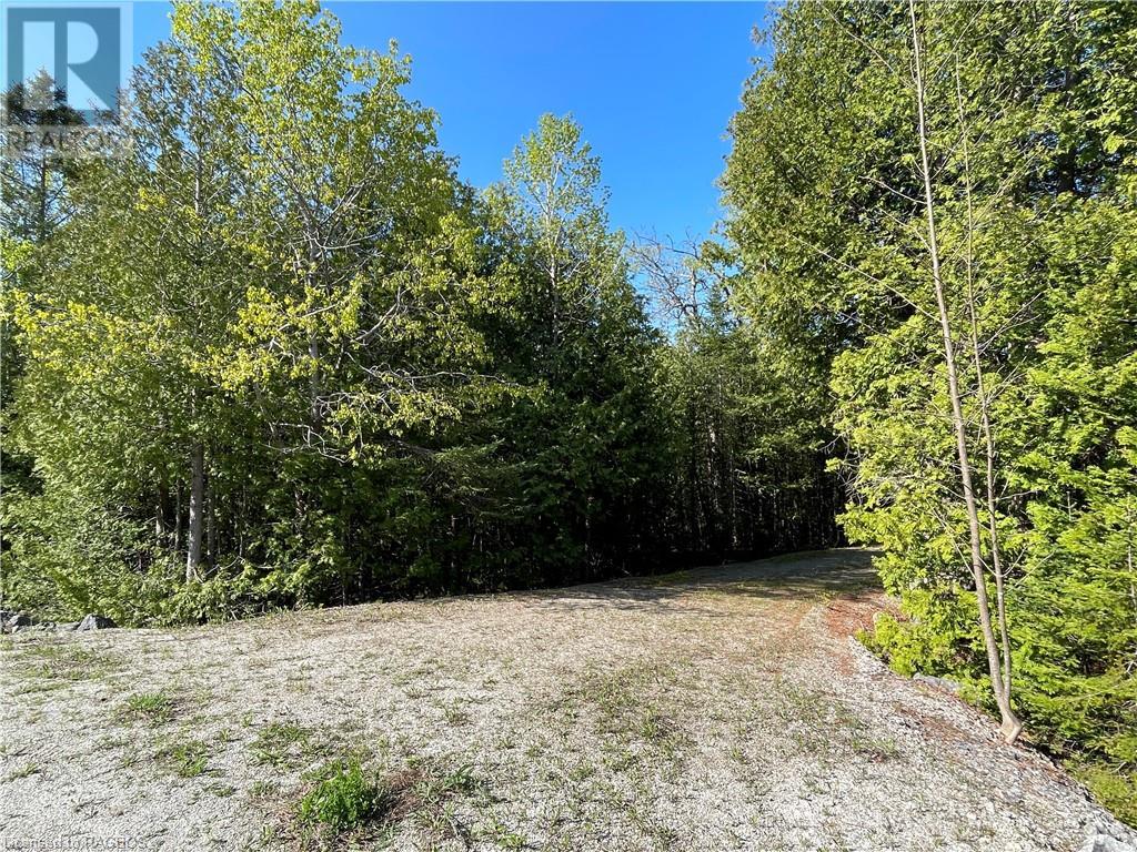 Lot 13 East Road, Northern Bruce Peninsula, Ontario  N0H 1W0 - Photo 9 - 40596786