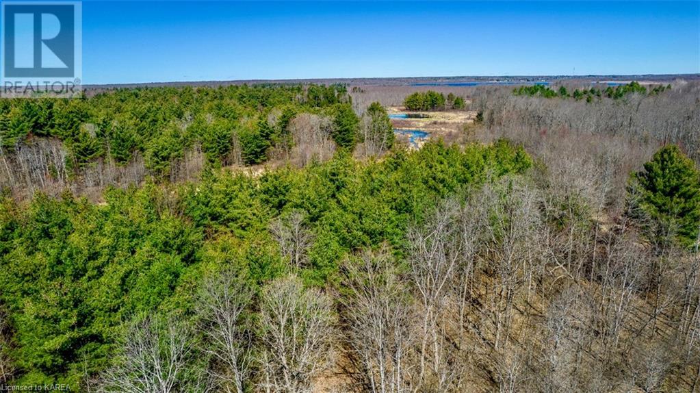 Part Lot 20 Dixie Road, Athens, Ontario  K0E 1B0 - Photo 2 - 40597585